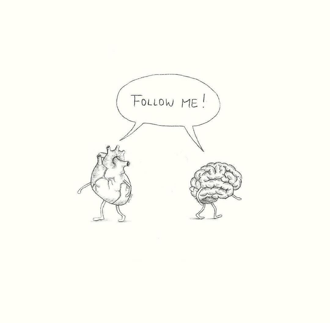 Follow me! Cuore e cervello
